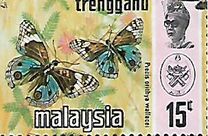 [Butterflies, type AN]