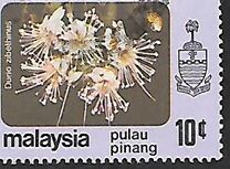 [Flowers, type AW]