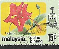 [Flowers, type AX]