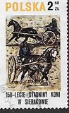 [The 150th Anniversary of Horse Riding in Sieraków, type CGU]
