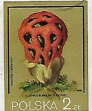 [Protected Poisonous Mushrooms, タイプ CHV]