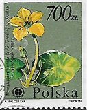 [Protected Plants and Flowers from the Botanical Gardens of Warsaw University, Typ DDO]
