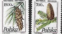[Stamp Issues for Postcards: Pine Trees, වර්ගය DEQ]