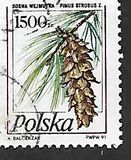 [Stamp Issues for Postcards: Pine Trees, වර්ගය DER]