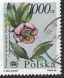 [Protected Plants and Flowers from the Botanical Gardens of Warsaw University, Typ DDP]