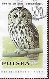 [Owls, typ DDZ]
