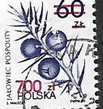 [Therapeutic Plants, Tüüp DCZ]