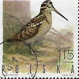 [Bird Game, වර්ගය BGW]