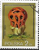 [Protected Poisonous Mushrooms, タイプ CHV]