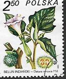 [Therapeutic Plants, type CIJ]