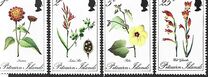 [Flowers, Tipi DF]