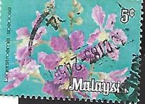 [Flowers, type C1]
