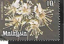 [Flowers, type D]