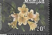 [Flowers, type F1]