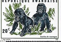 [Local Fauna - Mountain Gorilla, Typ IT]