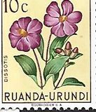 [Indigenous Flora, प्रकार AW]