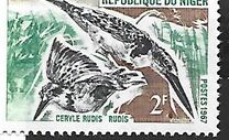 [Birds, Вид EG]