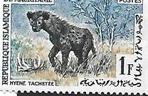 [Animals, tip CM]