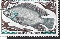 [Fish, type HO]