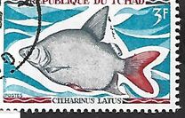 [Fish, type HP]