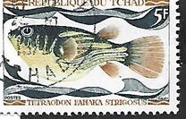 [Fish, type HQ]