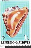 [Sea Shells and Cowries, type TK]