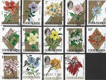 [Flowers - Normal Paper, Scrivi DX]