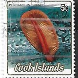 [Cnidarias, type SVC]