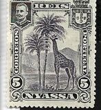 [Giraffe, type C1]