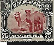 [Dromedary Camels, tegund D]