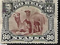 [Dromedary Camels, tegund D1]
