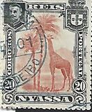 [Giraffe, type C4]