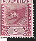 [Tiger - New Design, type C]