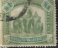 [Elephants, type D]