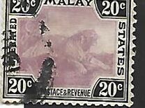 [Tiger - Different Watermark, type C56]