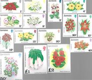 [Flowers, típus HI]