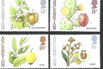 [Edible Bush Fruits, típus NC]