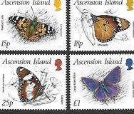 [Insects - Butterflies, type NN]