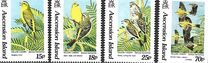 [Yellow Canary, type SW]