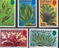 [Kelp and Seaweed, Typ GZ]