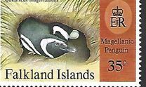 [Magellanic Penguins, tip WN]