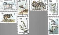 [Birds, type AEF]