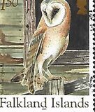 [Owls, Tip AFO]