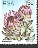 [Flora - Protea Plants, type PS]
