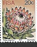 [Flora - Protea Plants, type PR]