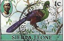 [Birds, प्रकार EZ]