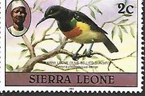 [Birds, प्रकार FA]