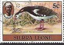 [Birds, प्रकार FC]