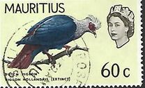 [Pájaros., tipo DF]