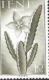 [Flora & Fauna, tegund AC]